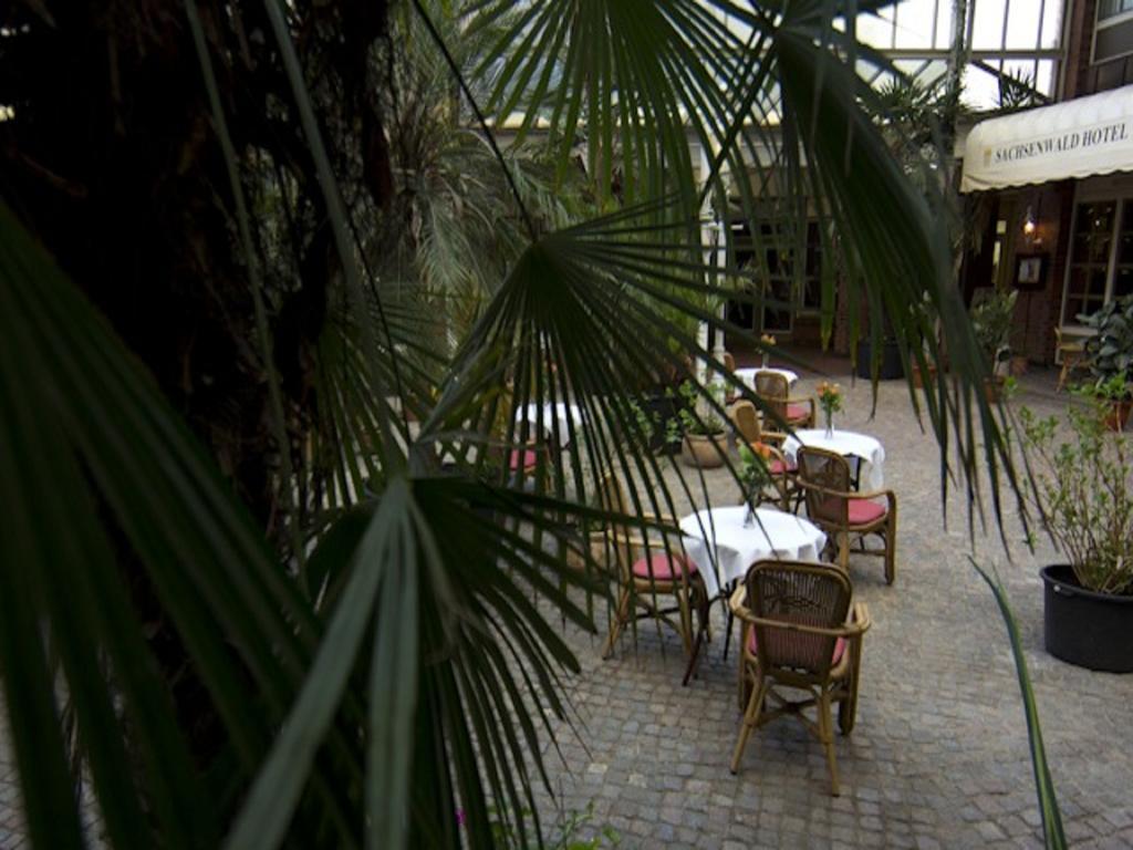 Hotel Sachsenwald Reinbek